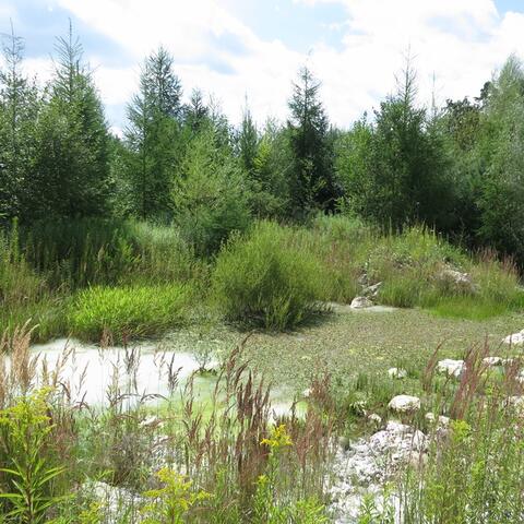 pfaffengrund_kieselerdehalde